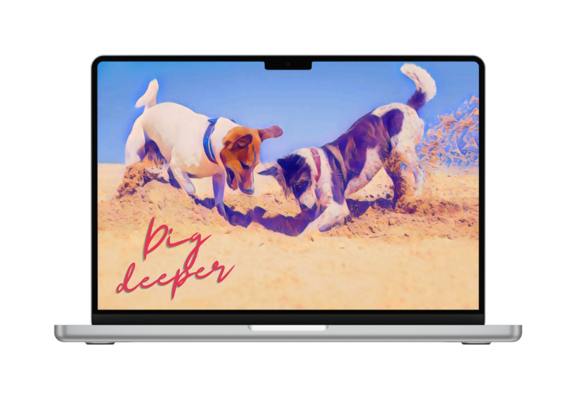 more_about_Sanja Bencic